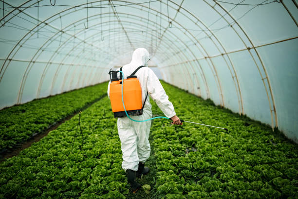 Reliable Clermont, GA Pest Control Solutions