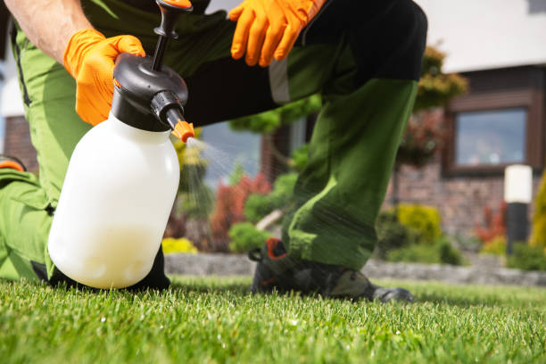 Best Residential Pest Control  in Clermont, GA