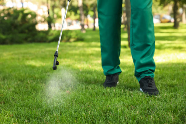 Best Termite Control Services  in Clermont, GA