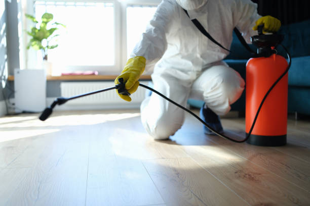 Best Pest Removal Services  in Clermont, GA