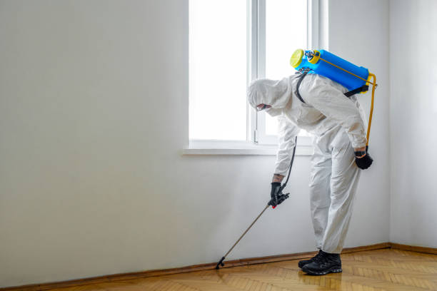 Best Mosquito Control Services  in Clermont, GA