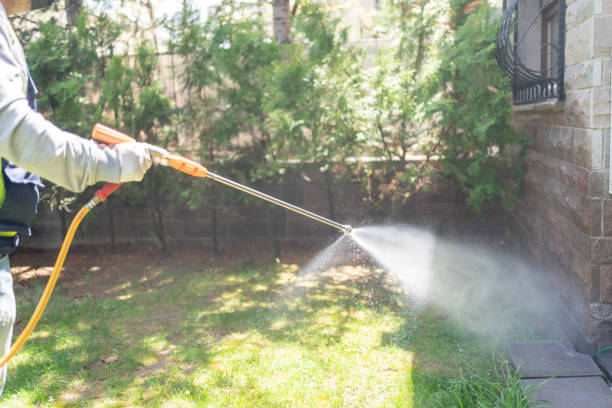 Best Emergency Pest Control  in Clermont, GA