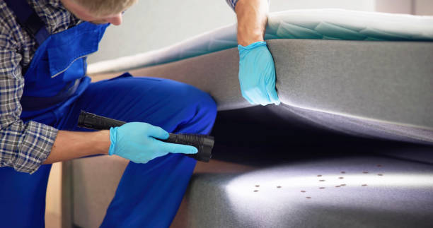  Clermont, GA Pest Control Pros
