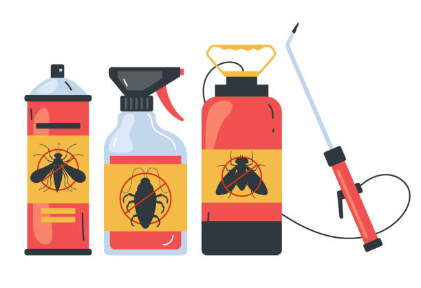 Best Wasp Removal Services  in Clermont, GA
