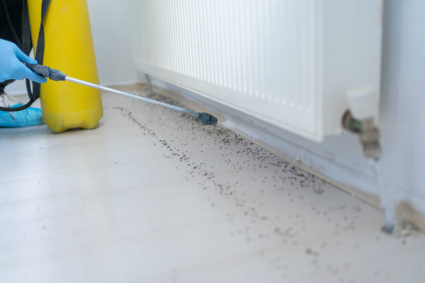 Pest Control for Restaurants in Clermont, GA