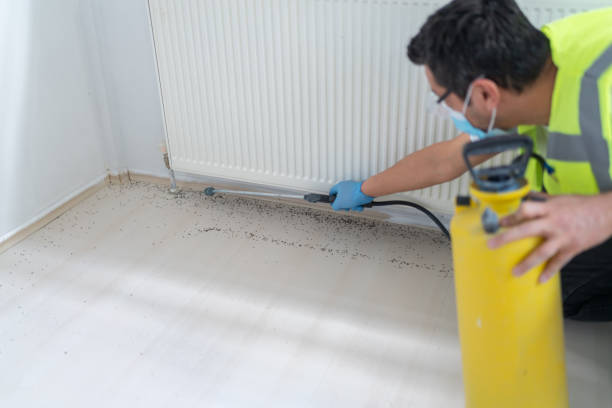 Best Affordable Pest Control Services  in Clermont, GA
