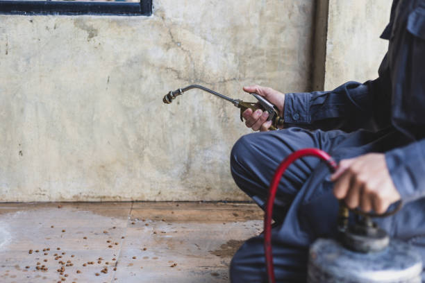 Best Pest Control for Homes  in Clermont, GA