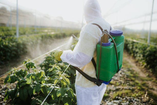Best Cockroach Control Services  in Clermont, GA